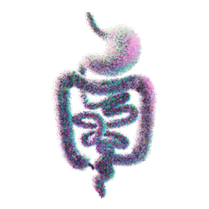 Digestive Tract of Molecules